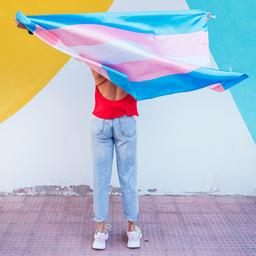 Video | Dit is waarom een Kamermeerderheid voor de transgenderwet onzeker is