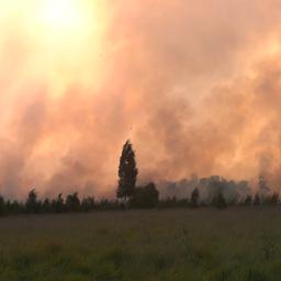 Video | Grote rookwolken overschaduwen natuurbrand in Limburg