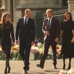 Video | Prinsen William en Harry bekijken bloemenzee bij Windsor Castle