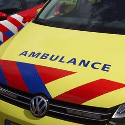 Stadsbus ramt bushalte in Den Bosch, zes mensen raken gewond