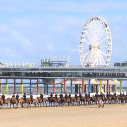 Video | Zo oefenden de paarden voor Prinsjesdag in Scheveningen
