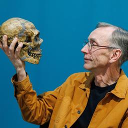 Zweedse ontdekker van neanderthaler-DNA wint Nobelprijs voor de Geneeskunde