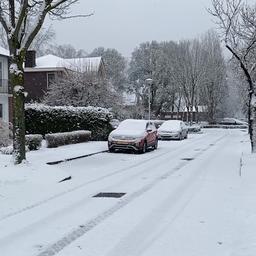 Video | Sneeuwval tovert deel van Nederland om in winterwonderland