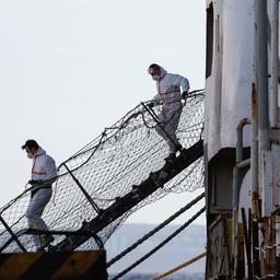 Spaanse politie vindt drugs ter waarde van 105 miljoen euro op schip vol dieren