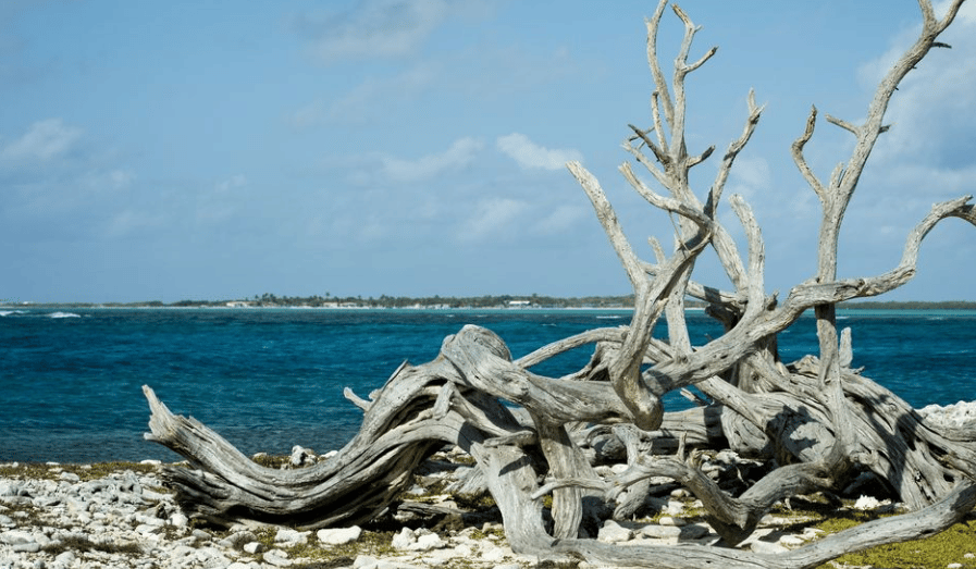 Klimaattafel voor Bonaire noodzakelijk
