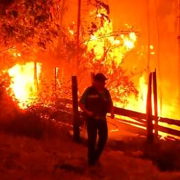 Video | Aanhoudende bosbranden teisteren Chili tijdens recordhittegolf