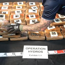 Video | Nieuw-Zeelandse marine vindt voor 300 miljoen euro aan cocaïne