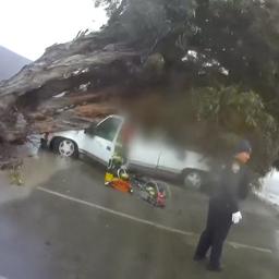 Video | Amerikanen gered uit auto waarop een boom was gevallen