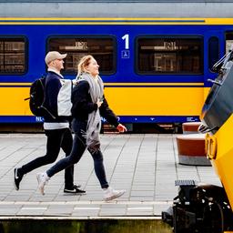 Dassen leggen treinverkeer tussen Den Bosch en Eindhoven plat tot volgende week
