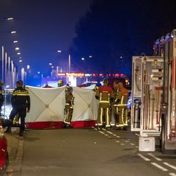 Vrouw en hond doodgereden in IJmuiden, drie personen aangehouden