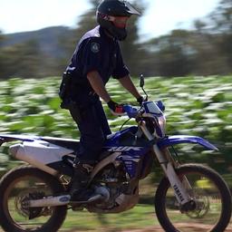 Video | Australische politie valt tabaksplantage binnen op crossmotoren