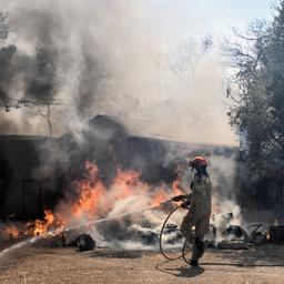 Griekenland evacueert 1.200 kinderen uit vakantiekampen vanwege bosbrand
