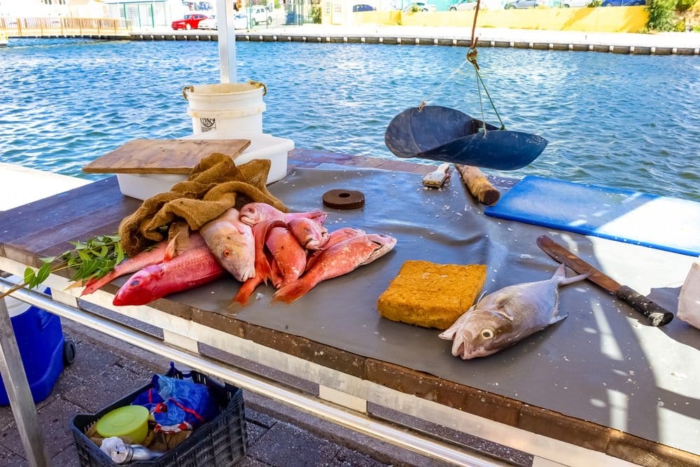 Onderzoek naar eerste regulering visprijzen na bijna 40 jaar