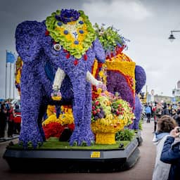 In beeld | Olifanten, eekhoorns en robots bij bloemencorso in Bollenstreek