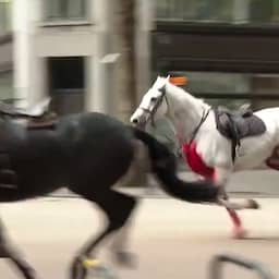 Video | Op hol geslagen koninklijke paarden rennen door Londen
