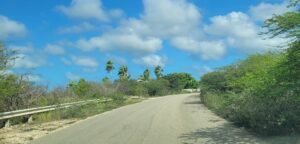 Begroeiing belemmert openbare ruimtes op Bonaire